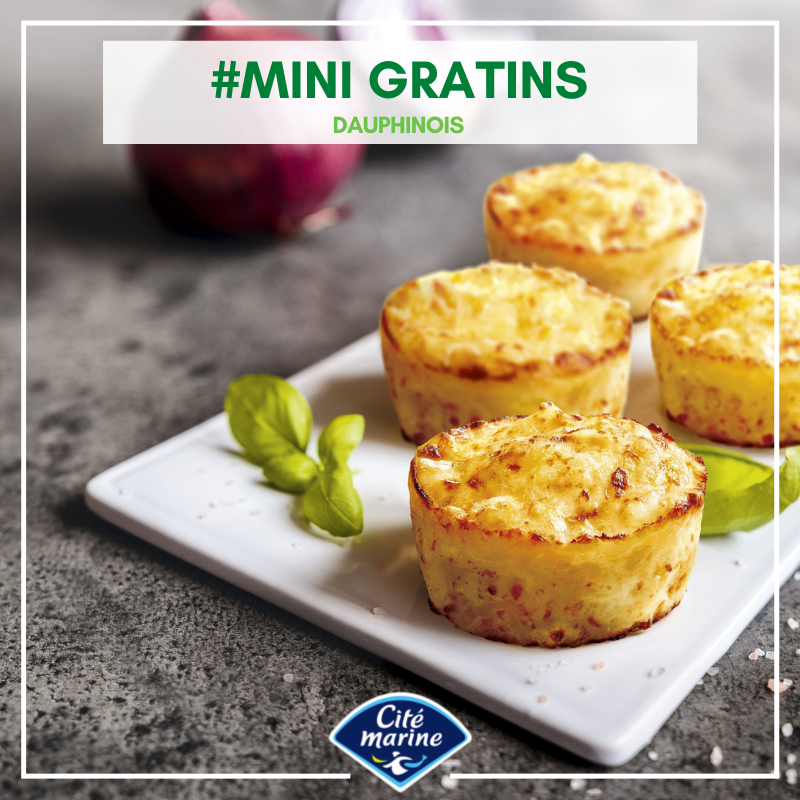 🇫🇷 4 Potato Gratin 'Dauphinois' by Cité Marine [Frozen] ️, 4.23 OZ